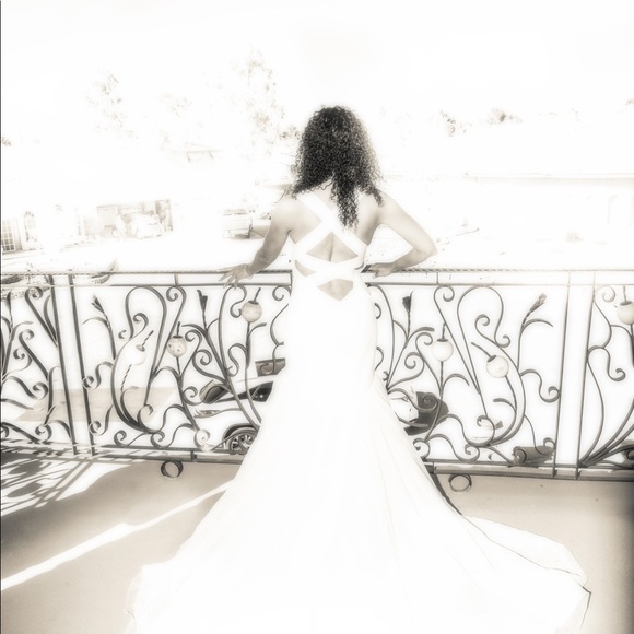 Meet your Posher, Millie - Picture 1 of 1